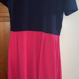 Lularoe Amelia